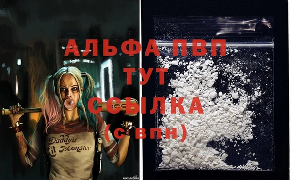 мяу мяу мука Арсеньев