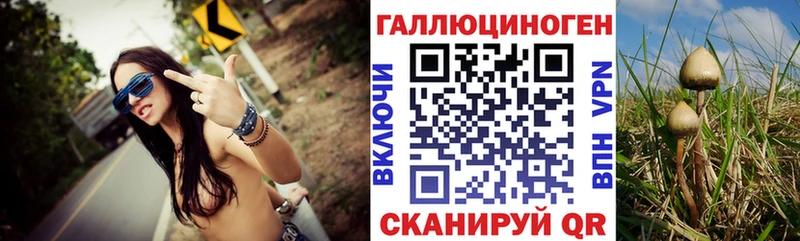 Галлюциногенные грибы Cubensis  Крым 